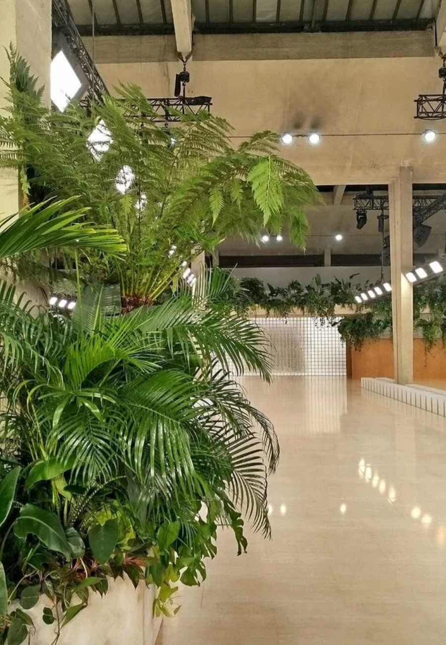 livraison de plante et vegetalisation podium defile paris fashion week chloe