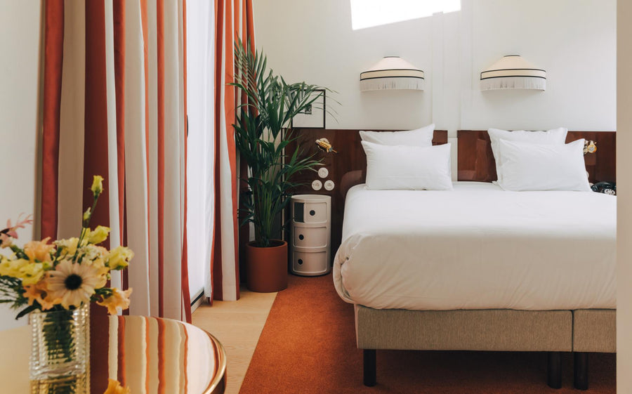 entretien plante chambre hotel