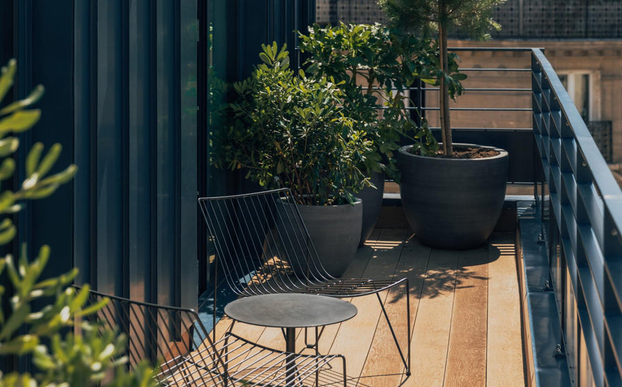 entretien plante terrasse suite